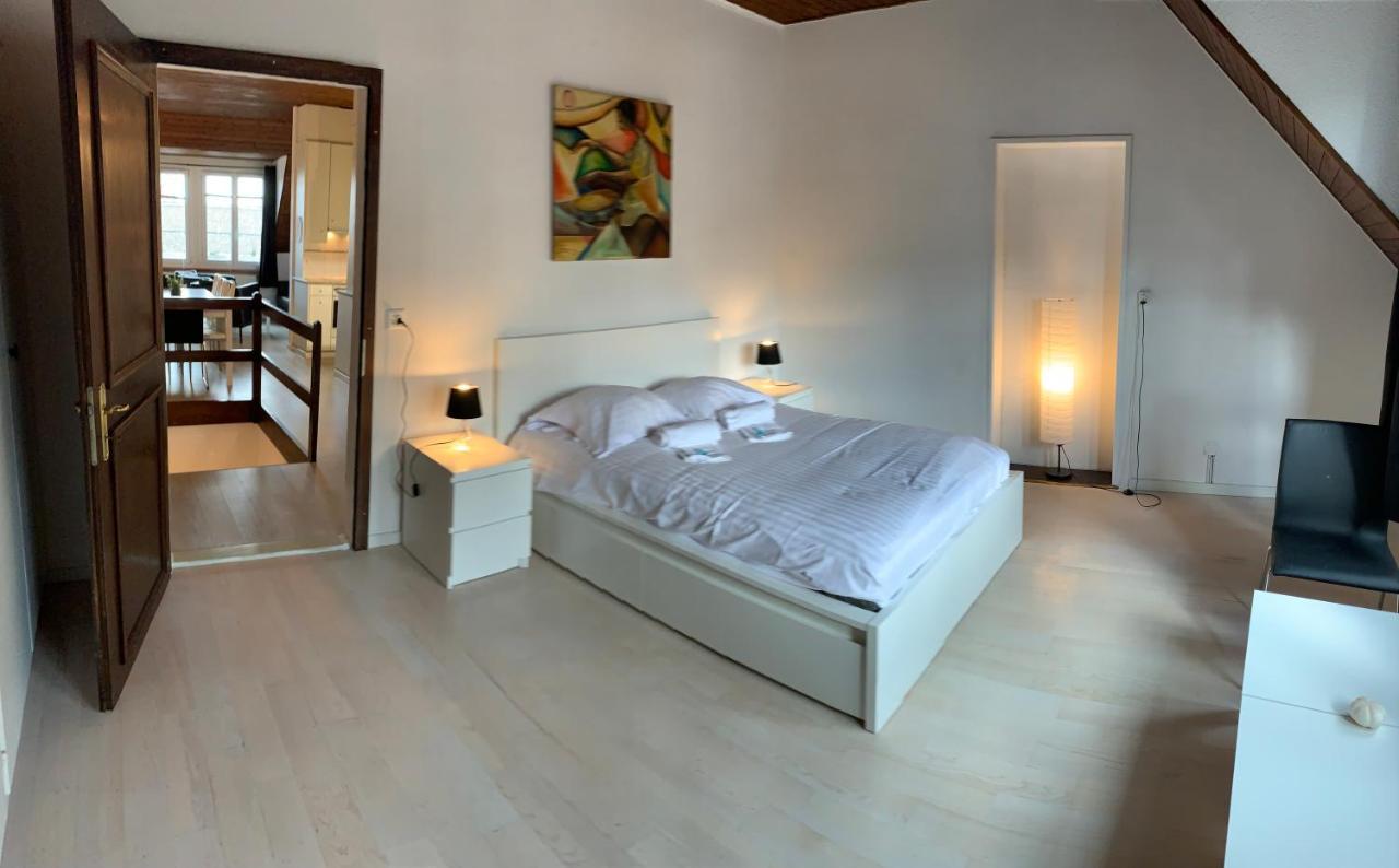 Luxury Duplex Vue Chateau Neuchâtel Zewnętrze zdjęcie