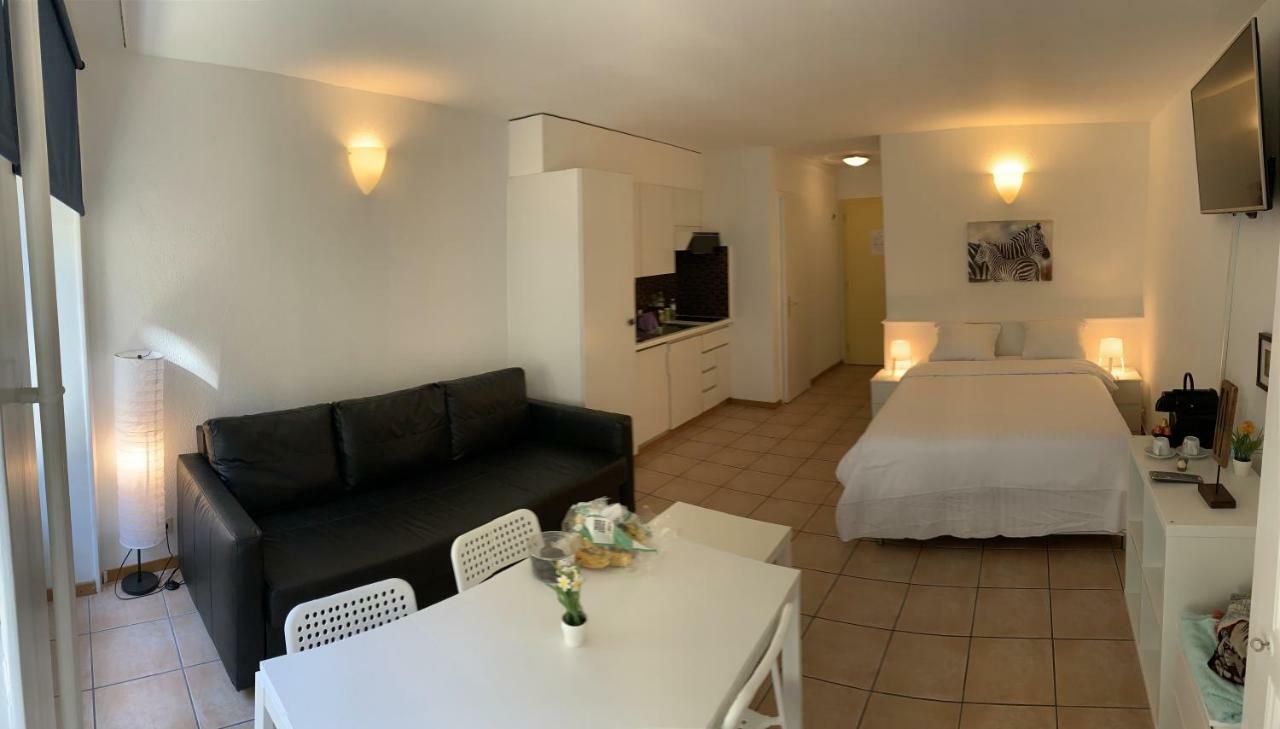 Luxury Duplex Vue Chateau Neuchâtel Zewnętrze zdjęcie