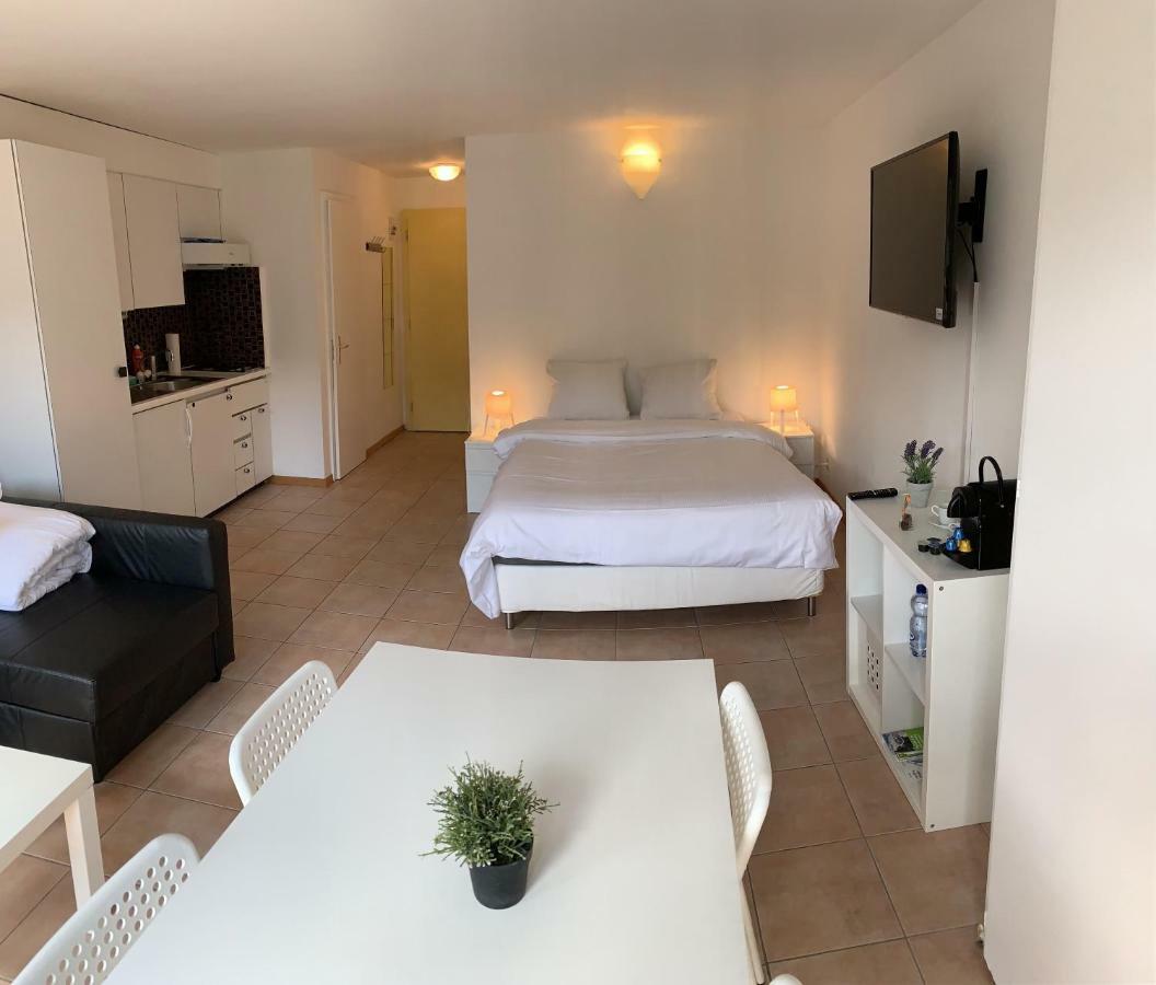 Luxury Duplex Vue Chateau Neuchâtel Zewnętrze zdjęcie